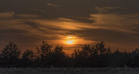 Sunset over trees near Lukov village in hot summer eveningの写真素材