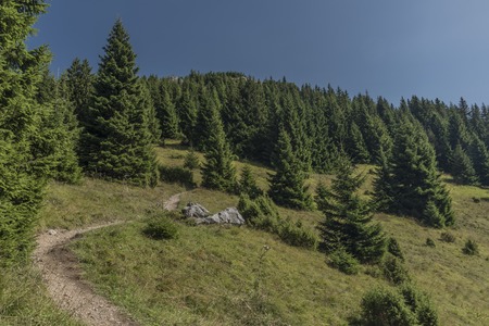 Sunny day under Velky Choc hill in Slovakiaの写真素材