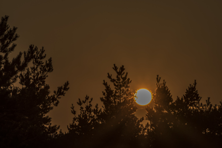 Sunset near Dominova skalka in Slavkovsky Les mountains in autumn eveningの写真素材