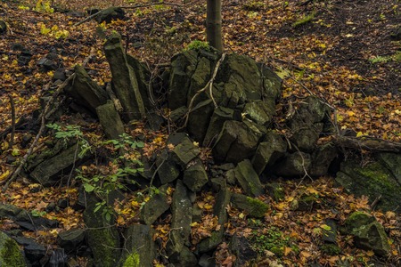 Nemecsky creek in Prucelska valley in autumn evening with color leafs and big stones