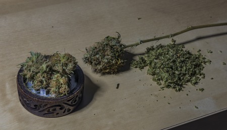 S.A.G.E. variety of dry medical marijuana in crushing mill on wooden tableの写真素材