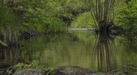 Bily Halstrov creek in west Bohemia spring dayの写真素材