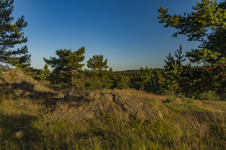 Slavkovsky les mountains in summer sunny sunset evening near Krizky areaの写真素材