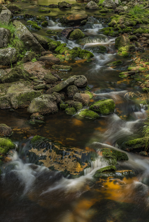 Rolava river in summer hot sunny day near Prebuz village in Krusne mountainsの写真素材