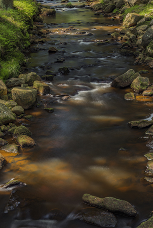 Rolava river in summer hot sunny day near Prebuz village in Krusne mountainsの写真素材