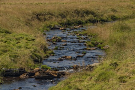 Rolava river in summer hot sunny day near Prebuz village in Krusne mountainsの写真素材