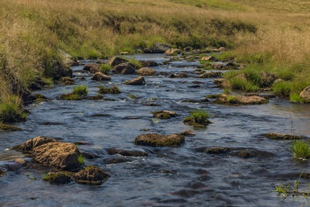 Rolava river in summer hot sunny day near Prebuz village in Krusne mountainsの写真素材