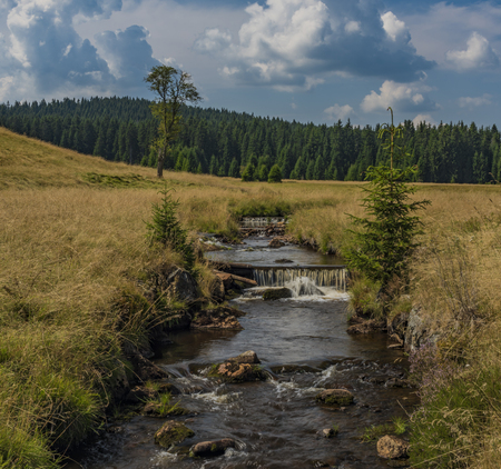 Rolava river in summer hot sunny day near Prebuz village in Krusne mountainsの写真素材
