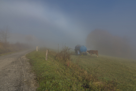 Road from Stary Hrozenkov to Zitkova in fog morning with sunの写真素材