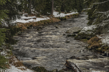 Roklansky creek near Modrava village in national park Sumava in winter dayの写真素材