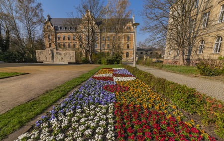 Color spring blooms of flowers in Zwickau city in east Germany in sunny morningの写真素材