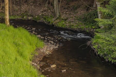 River Kamenice in color nice sunny spring evening near Ceska Kamenice townの写真素材