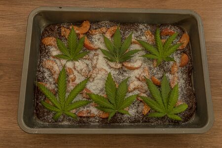 Coconut apricot marijuana sweet brownies baked in ovenの写真素材