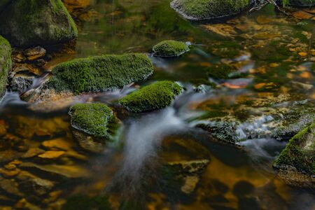 Color Bystrina small creek in summer nice morning in Krusne mountains near Sokolov town