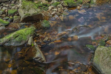 Color Bystrina small creek in summer nice morning in Krusne mountains near Sokolov townの写真素材