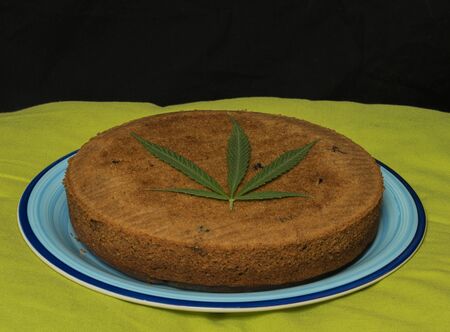 Marijuana gingerbread with sour cherry and white mulberries on blue dish and green pillow