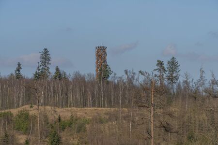 View for landscape with cut down forests after bark beetle in south Moravia region in winter sunny dayの写真素材
