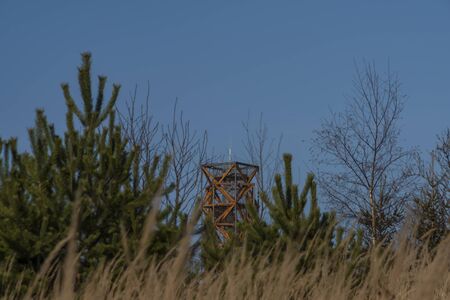 View for landscape with cut down forests after bark beetle in south Moravia region in winter sunny dayの写真素材