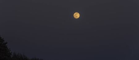 Yellow orange full moon in spring evening on dark heavenの写真素材