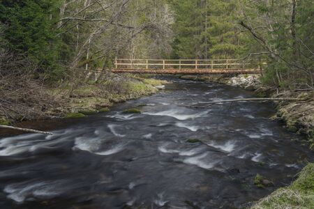 Studena Vltava river in national park Sumava in sunny spring day with orange bridge