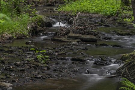 Bily Halstrov creek in west Bohemia in spring sunny fresh blue sky day