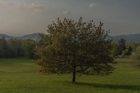 Color sunset with fresh meadows and old buidlings near Trojanovice villageの写真素材
