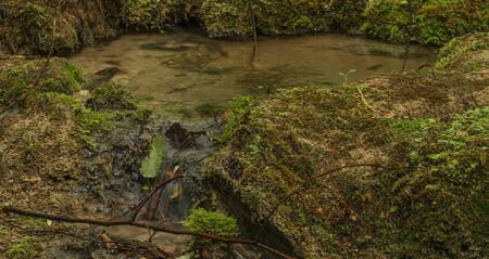 Cisarska gorge with clean creek and waterfall near Berounka river in spring rainy day