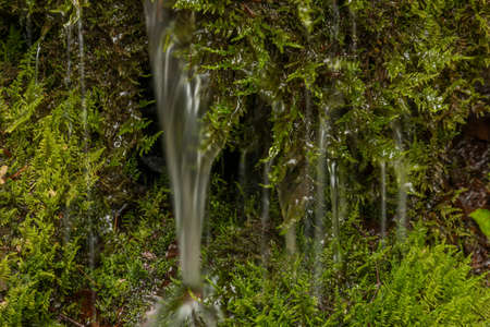 Seufzerquelle spring of small rivulet under Mittagskogel hill