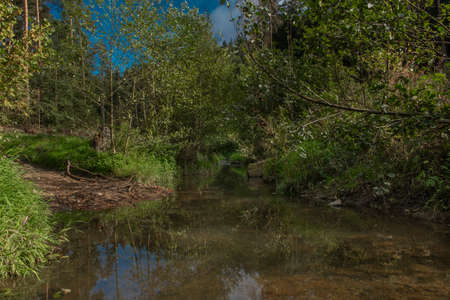 Zborovsky creek flowing to influence with Malse river in autumn color day