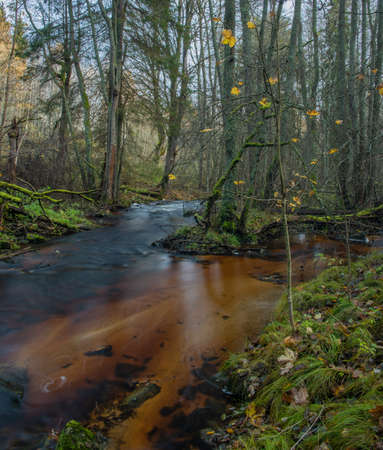 Jezerni creek in autumn color morning with red water and green beautiful forest in national park...