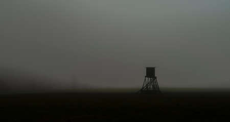 Fog and tree stand on autumn dark pasture land in Krusne hory mountains in north Bohemiaの写真素材