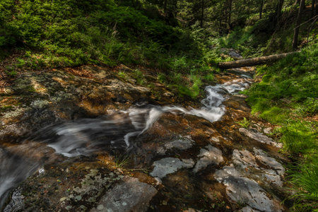 Small waterfall near Kouty nad Desnou village in summer day in forestの写真素材