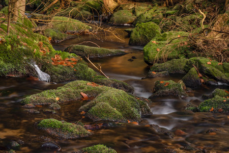 Konsky creek in National park Sumava with cascade and waterfall in winter sunny cold day