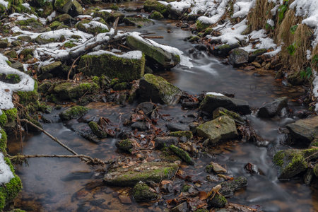 Kokotinsky dick creek with green moss stone in winter cold day in south Bohemia regionの写真素材