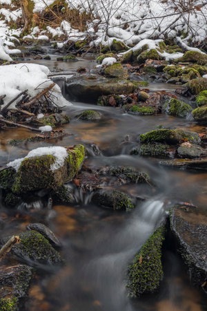 Kokotinsky dick creek with green moss stone in winter cold day in south Bohemia region