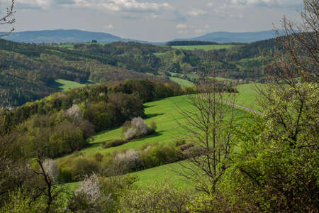 Meadows and trees near Homole village in spring sunny fresh morning in east Moraviaの写真素材