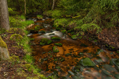 Skrivan color creek in Krusne mountains in spring morning after cold rainの写真素材