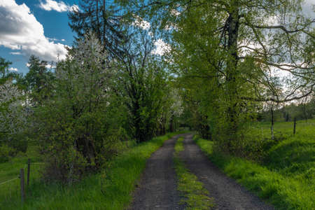 Evening with sunset near Nejdek town with fresh green pasture land after night rainの写真素材