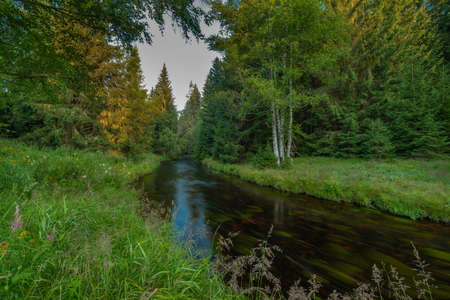 Color summer Studena Vltava river near Stozec village in national park Sumava