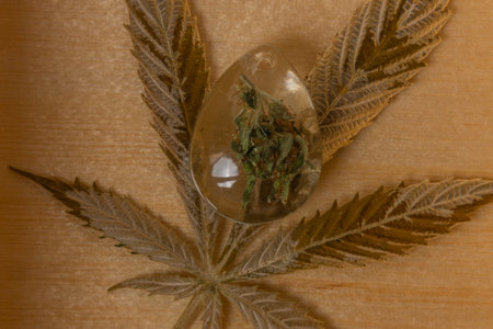 Old leaf of marijuana flower under glass in small wooden boxの写真素材