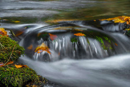 Sumny and Bily creek in autumn wet morning in Jeseniky mountains