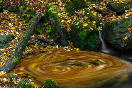 Sumny and Bily creek in autumn wet morning in Jeseniky mountainsの写真素材
