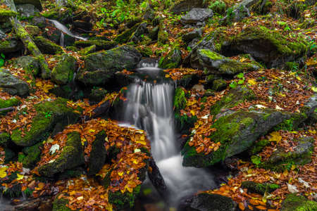 Sumny and Bily creek in autumn wet morning in Jeseniky mountainsの写真素材