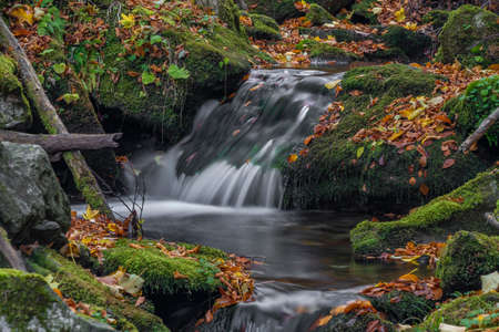 Sumny creek in autumn wet morning in Jeseniky mountains