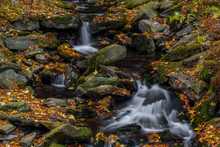 Sumny creek in autumn wet morning in Jeseniky mountains