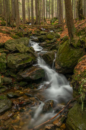 Geigenbachfalle waterfall near Groser Arber hill in Germany in spring morningの写真素材