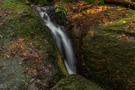 Cerveny creek with Cerveny waterfall in Jizera mountains in spring fresh color morningの写真素材