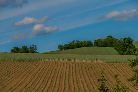 Landscape with blue sky near Roprachtice village in summer color fresh day