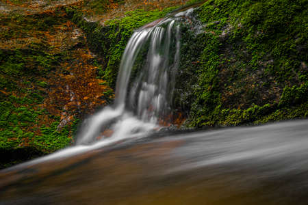 Jedlova creek in Jizera mountains in spring cloudy morning