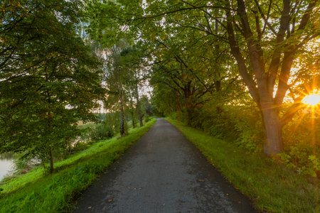 Cycle route with green summer trees in fresh sunrise color morningの写真素材